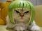 focalcivic's Avatar